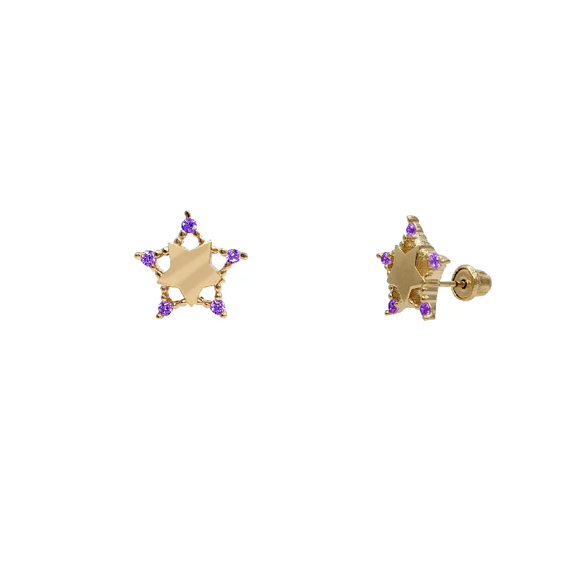 Bohemian Tassel Earrings For Festival Looks-Purple Zirconia Glossy Star Stud Earrings (14K)