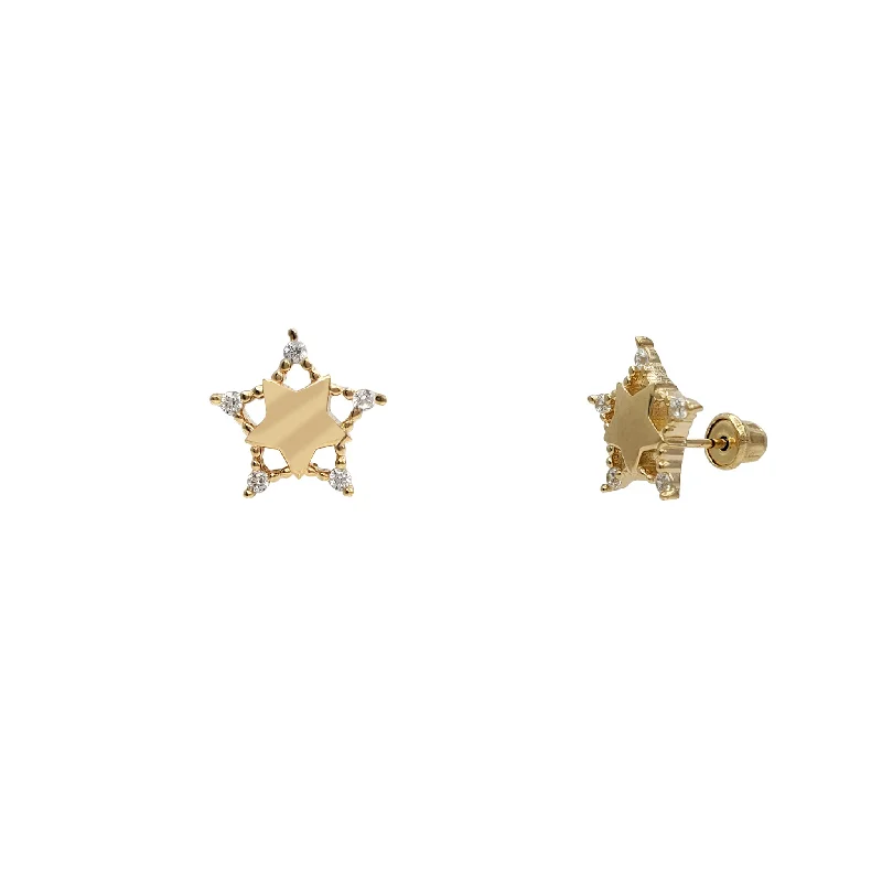 Simple Drop Earrings For Elegant Style-Zirconia Glossy Star Stud Earrings (14K)